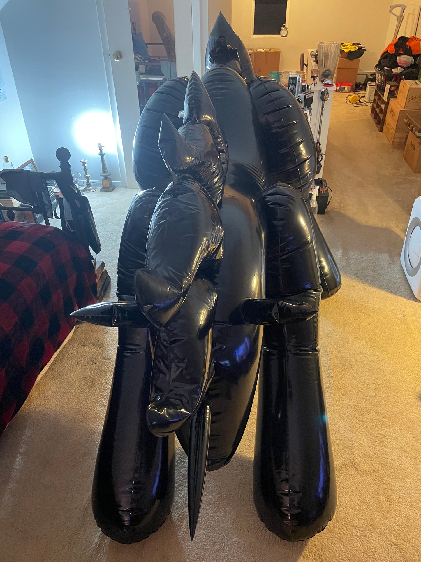 Black unicorn riding vid