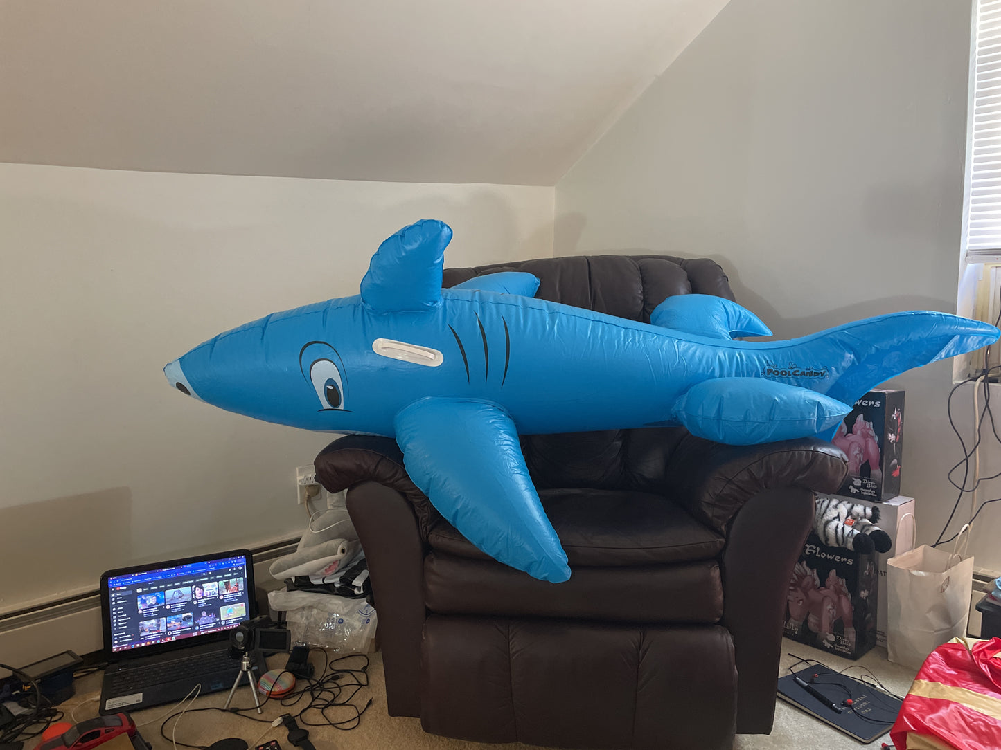 Pool candy shark