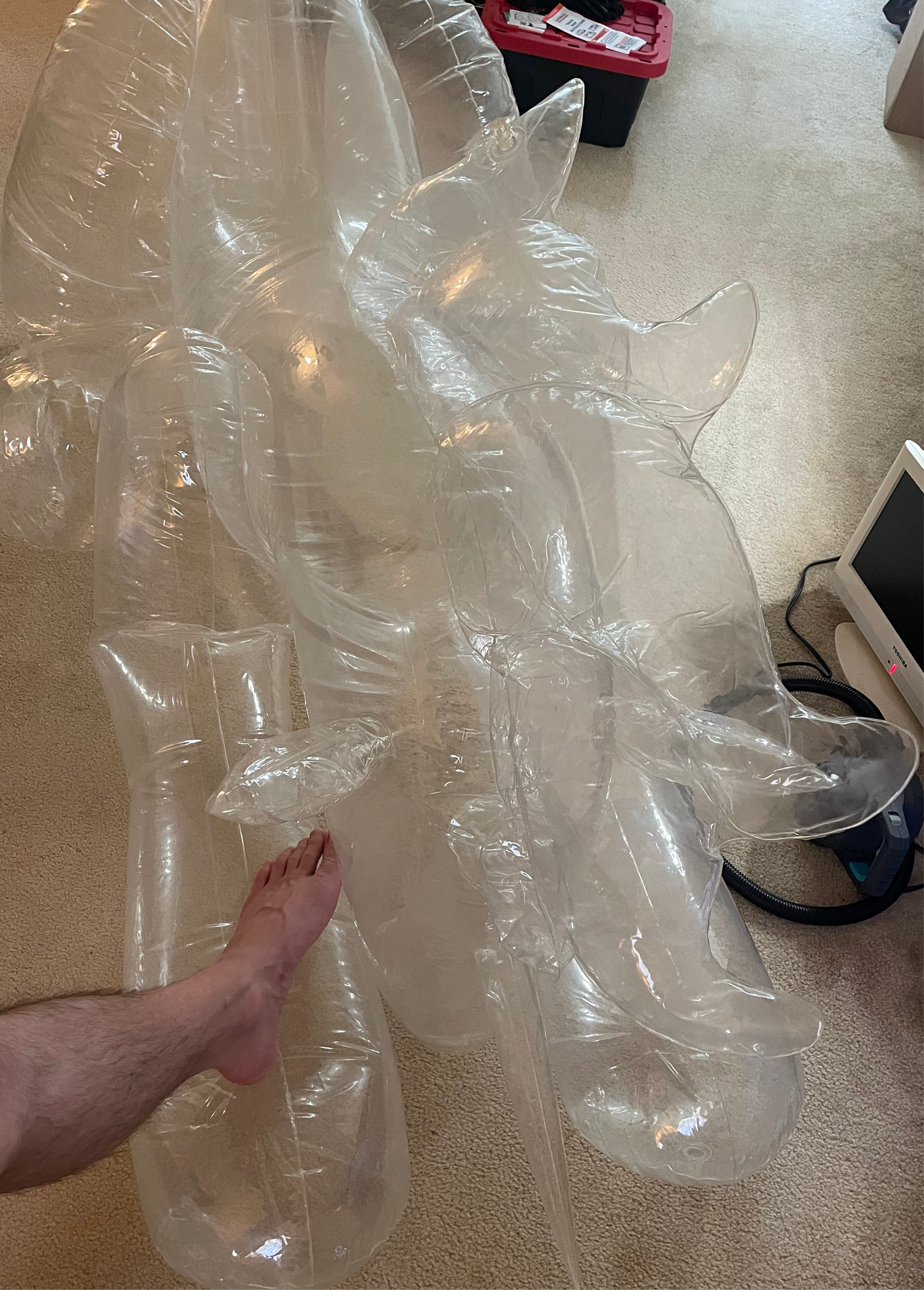 清晰的独角兽视频定制