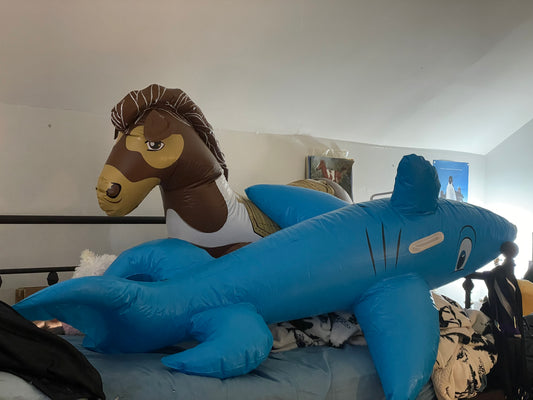Pool candy shark
