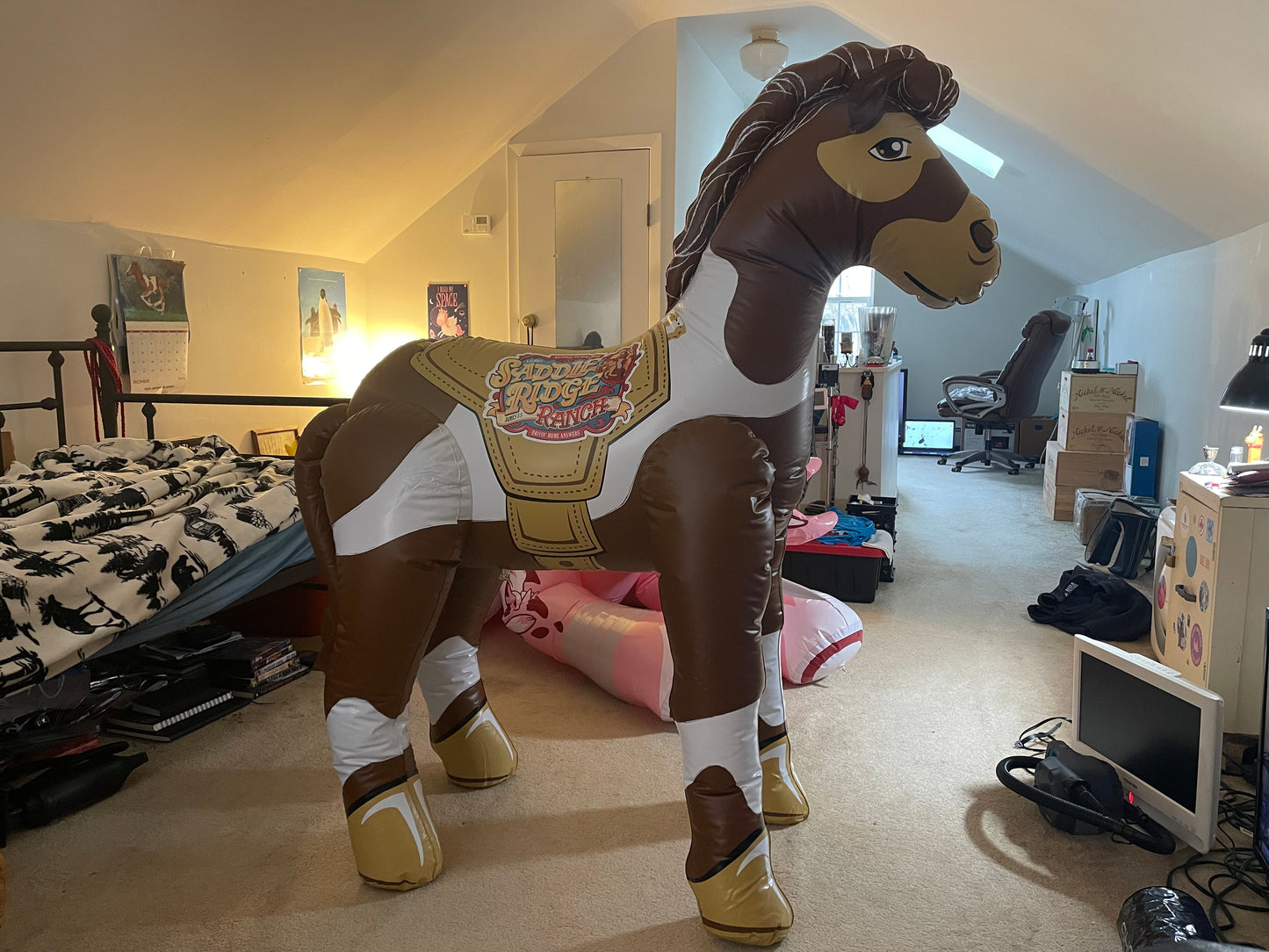 Vbs lifeway pony video