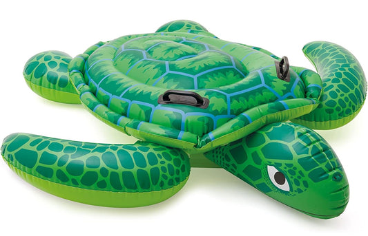 Z3 Sea turtle